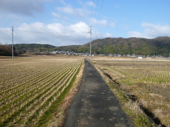 e0307890_01043604.jpg