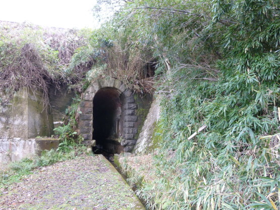 e0307890_01122533.jpg