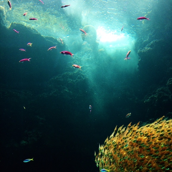 a0147391_16480420.jpg