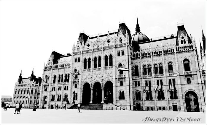 f0053297_13425037.jpg