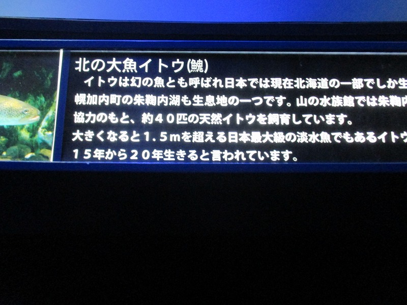 f0202703_15445083.jpg