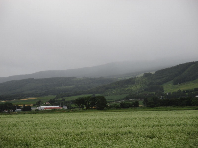f0202703_1621527.jpg