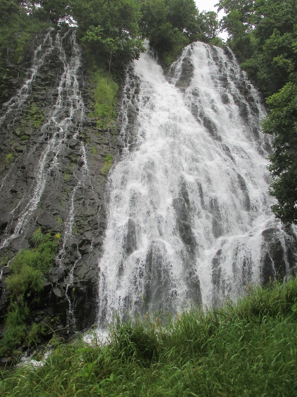 f0202703_1624453.jpg