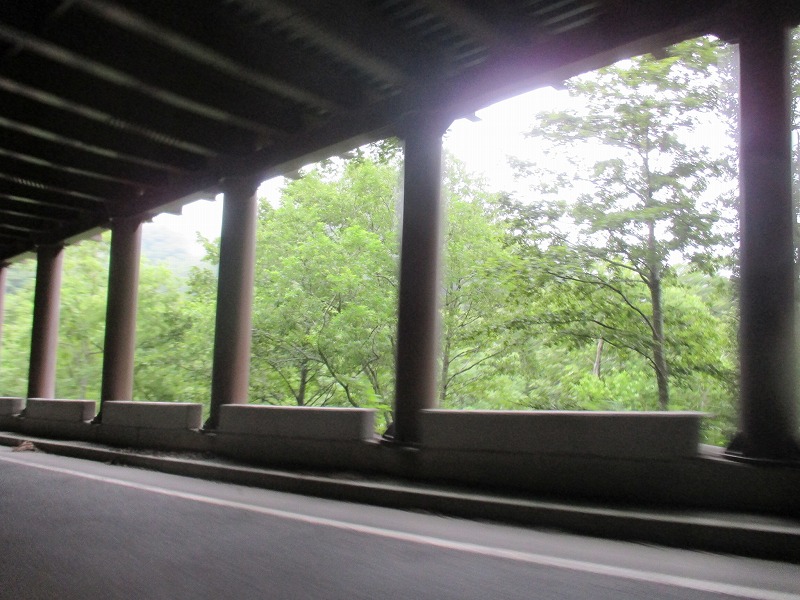 f0202703_16383638.jpg