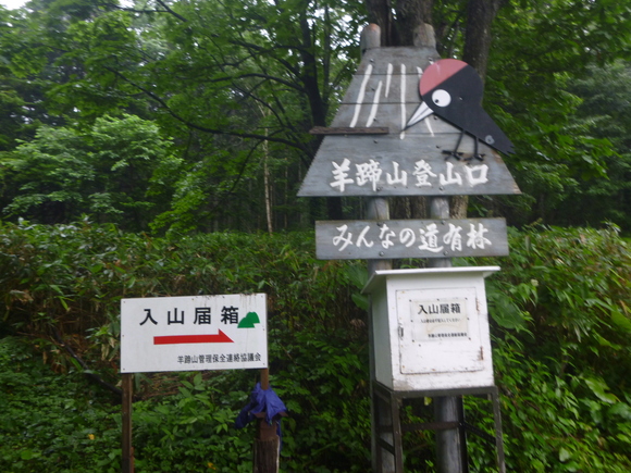 d0170615_13253586.jpg