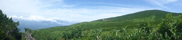 d0170615_13281216.jpg