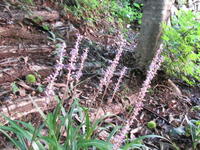 f0341616_16535272.jpg