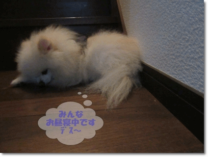 b0167519_11554251.gif