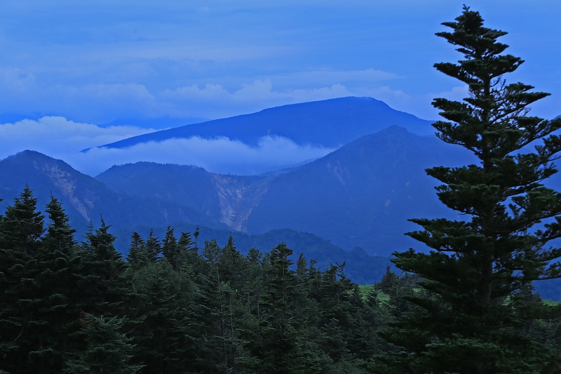 c0104227_19413415.jpg