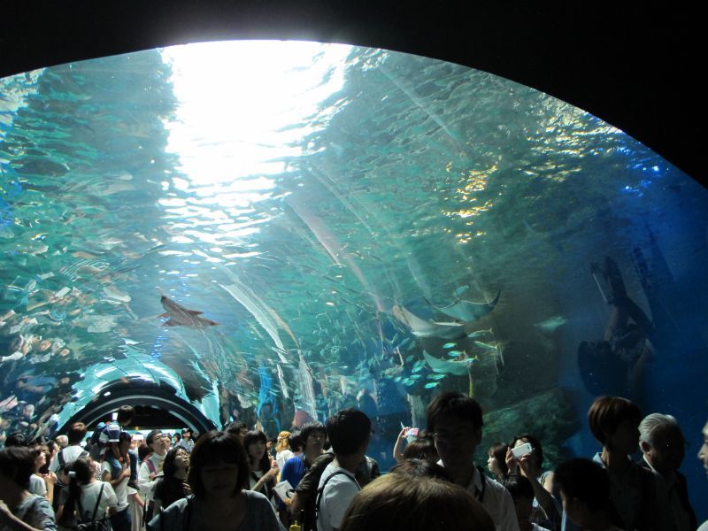 f0076731_22054803.jpg