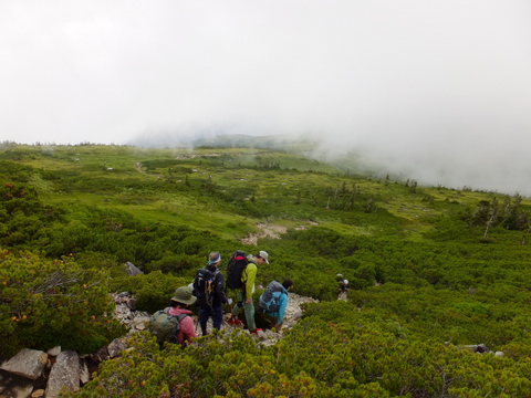 b0281732_6402666.jpg