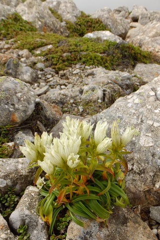 b0281732_6403355.jpg