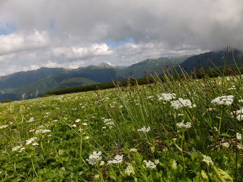 b0281732_6405020.jpg