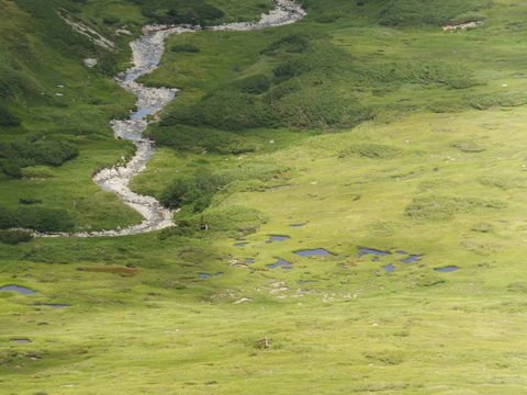 b0281732_6444088.jpg