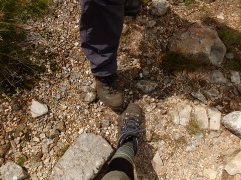 b0281732_6454854.jpg