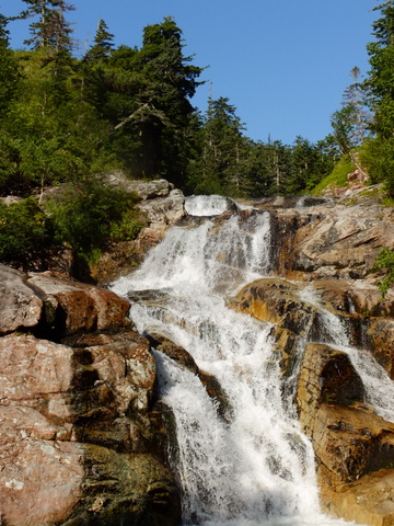 b0281732_652750.jpg