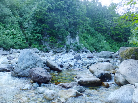 b0281732_6532487.jpg