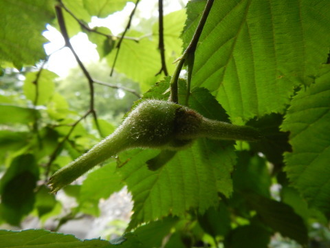 f0118332_22221077.jpg