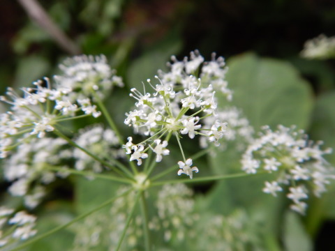 f0118332_22230190.jpg