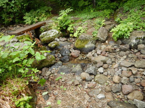 f0118332_22233843.jpg