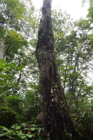 f0118332_22301864.jpg