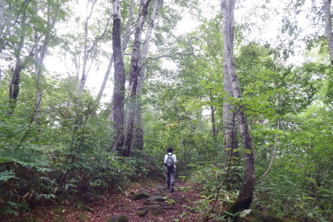 f0118332_22305403.jpg