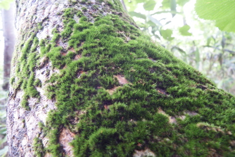 f0118332_22311791.jpg