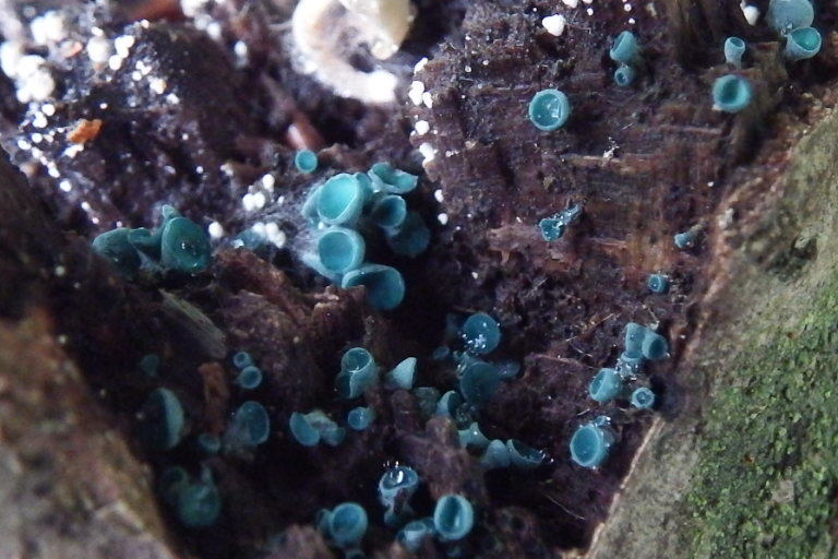 f0118332_22314455.jpg