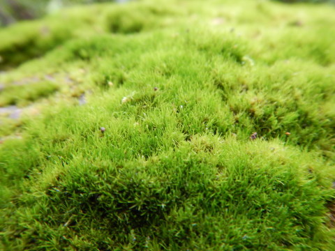 f0118332_22333618.jpg