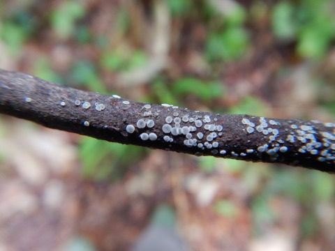 f0118332_22352178.jpg