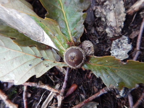 f0118332_22355038.jpg