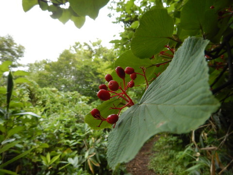 f0118332_22365170.jpg