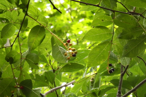 f0118332_22374102.jpg