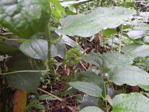 f0118332_22380702.jpg