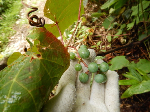 f0118332_22385118.jpg