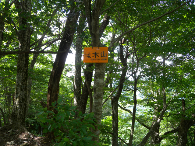 e0272335_5225087.jpg