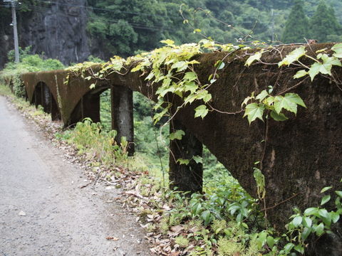 b0199742_6115164.jpg