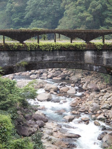 b0199742_673670.jpg