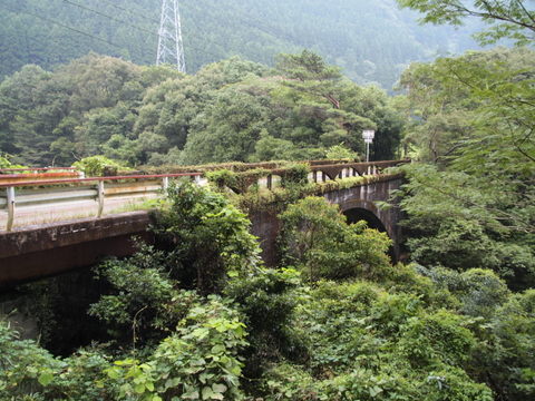 b0199742_681942.jpg