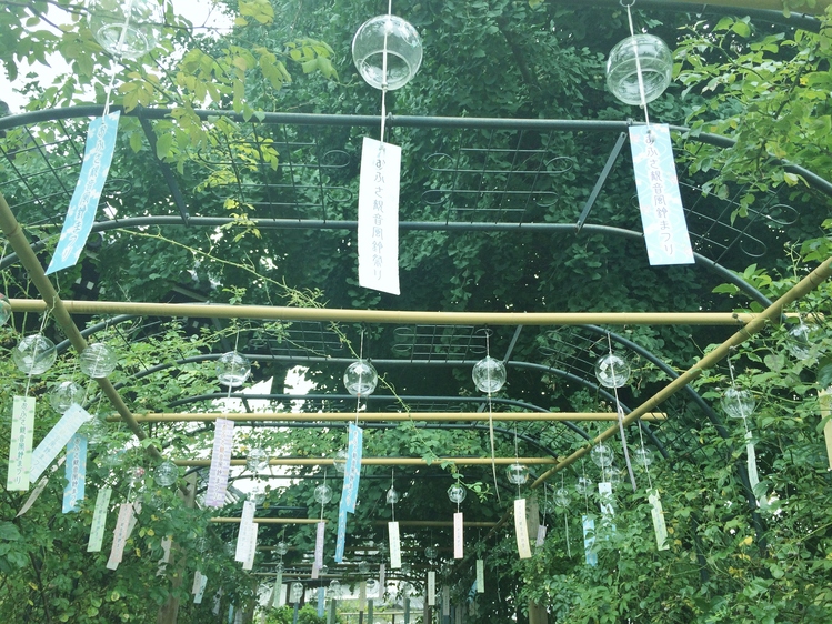 a0116246_1821388.jpg
