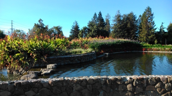 c0355451_05575713.jpg