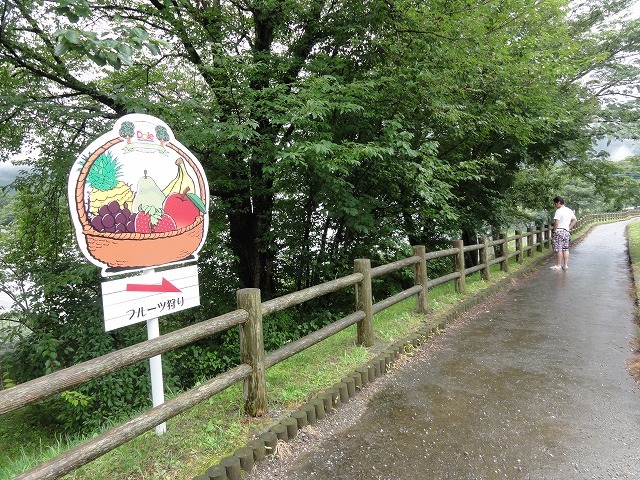 c0336266_12264539.jpg