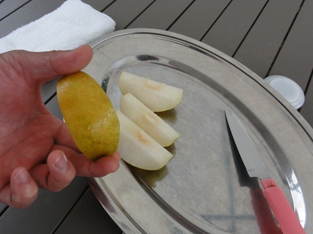 c0336266_12323623.jpg