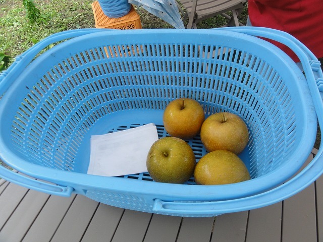 c0336266_12401098.jpg