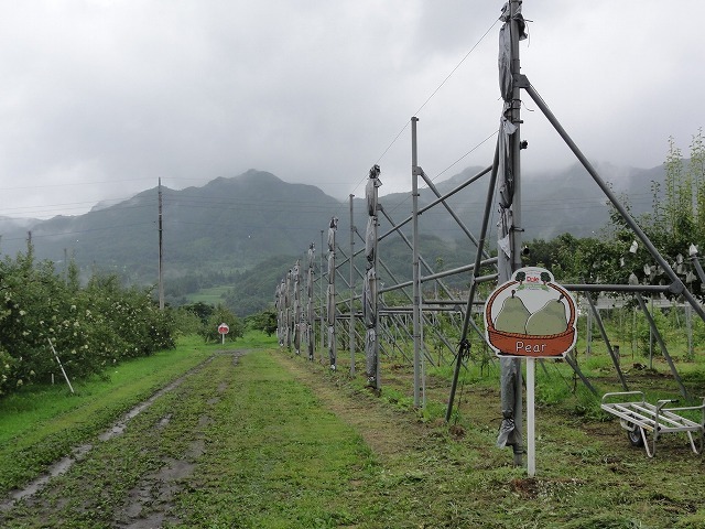 c0336266_12433886.jpg