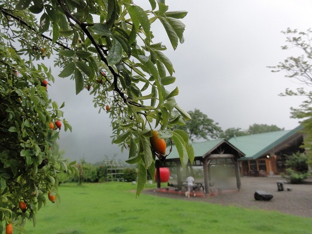 c0336266_13020729.jpg