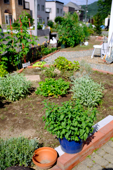 c0026870_15572067.jpg