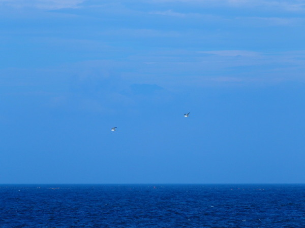 c0122670_18563765.jpg
