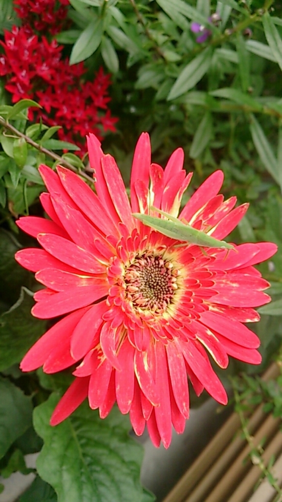 f0152875_08473971.jpg