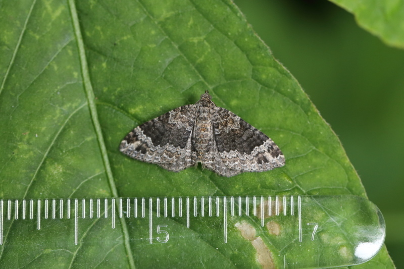 e0249878_22392401.jpg